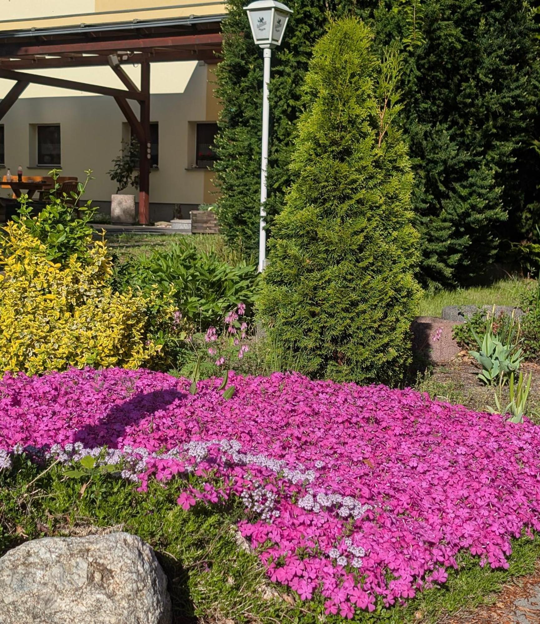 Pension Zum Reiterhof, Fewo 2 Schmogrow Exterior photo